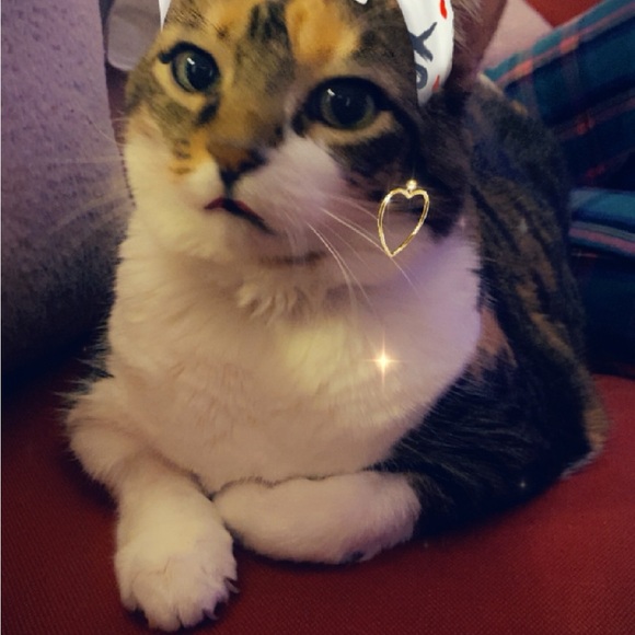 Meet your Posher, Camille - Picture 4 of 7